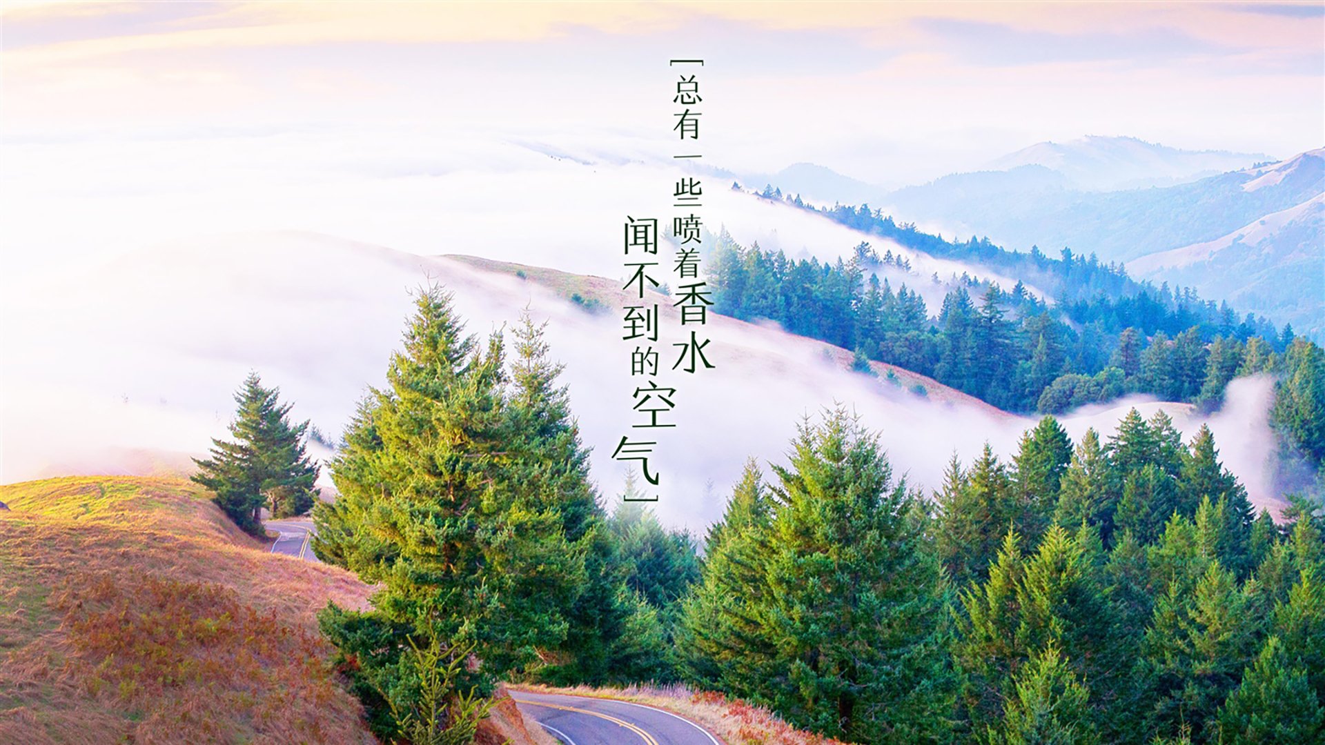 德甲裁判争议不断，这次裁判判决引发轩然大波，德甲 打架