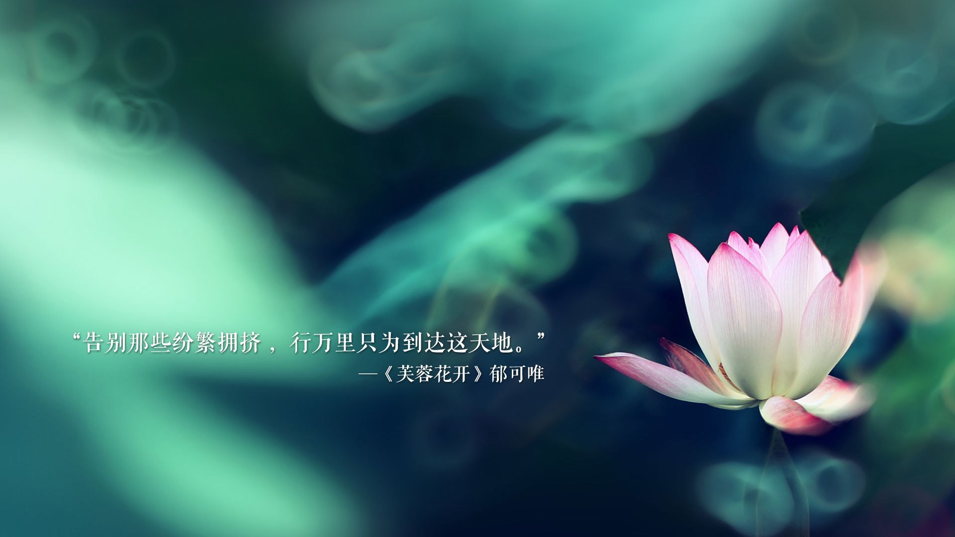 阿森纳领跑积分榜，追逐赛季第一，阿森纳晋级