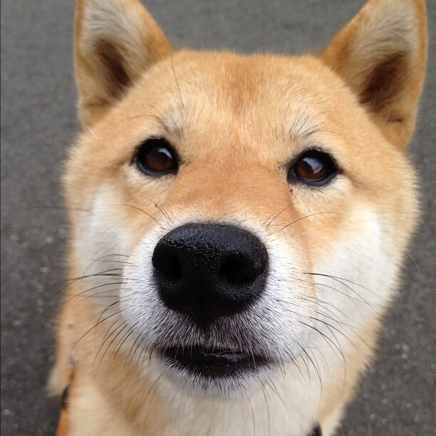 训练中强度不断升级球员表现积极展现职业精神与自律态度,职业球员的训练