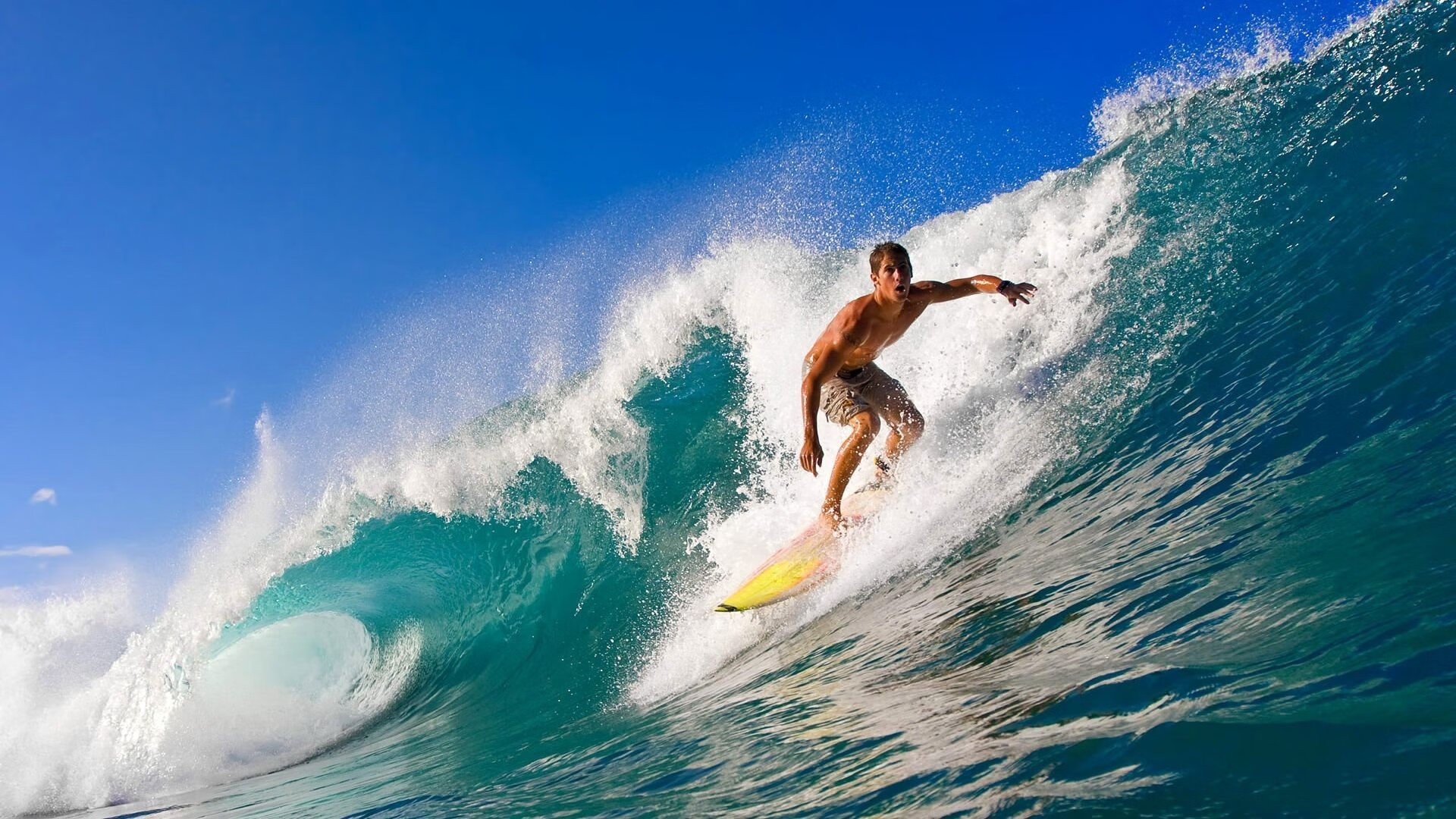 华体会体育官方网址-未来“足球新星”展翅高飞，欧冠舞台显锋芒，未来的足球新星